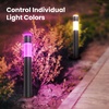 image:imageFeit 3026437 Black Plug in amp Remote 6W LED Pathway Light  4 per PackBollard Path Lights