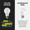 image:imageFeit Electric A19 Enhance LED Light Bulb 40W EQ Bright White 4 Pack3000k Bright White