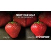 image:imageFeit Electric A19 Enhance LED Light Bulb 40W Eq Daylight White 2 Pack60w Soft White