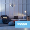 image:imageFeit Electric A19 LED Filament Light Bulbs 40W Eq Dimmable 5000K Daylight 90 CRI E26 Base Decorative Clear Glass 17000Hour Lifetime General Purpose Lighting A1940CL950CAFIL4 4 Pack