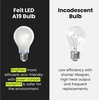 image:imageFeit Electric A19 LED Light Bulb 40W Equivalent Dimmable 450 Lumens E26 Base 2700K Soft White 90 CRI 88W Standard Glass Filament Lighting Bulbs 17000Hour Lifetime A1940927CAFIL4 4 Pack2700k Soft White