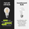 image:imageFeit Electric A19 LED Light Filament Bulb 100W Equivalent Dimmable E26 Base 2700K Soft White Vintage Edison Clear Glass Light Bulb for Home Office 13Year Lifetime A100CL927CAFIL24 8 Pack5000k Daylight