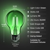 image:imageFeit Electric A19TGLED6 25W Equivalent Dimmable Clear Glass Filament Colored LED Light Bulbs Green 6Pack 24 D x 4 HGreen