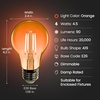 image:imageFeit Electric A19TGLED6 25W Equivalent Dimmable Clear Glass Filament Colored LED Light Bulbs Green 6Pack 24 D x 4 HOrange