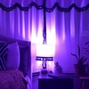 image:imageFeit Electric A19TGLED6 25W Equivalent Dimmable Clear Glass Filament Colored LED Light Bulbs Green 6Pack 24 D x 4 HPurple