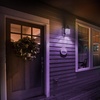 image:imageFeit Electric A19TGLED6 25W Equivalent Dimmable Clear Glass Filament Colored LED Light Bulbs Green 6Pack 24 D x 4 HPurple