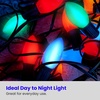 image:imageFeit Electric BPC7BLEDG226 7W Equivalent 05 Watt Candelabra Base Holiday Party Decorative LED C7 Light Bulb 215 H x 1 D Blue 12Red