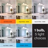 image:imageFeit Electric BR40 LED Light Bulb 5CCT Dimmable  150W Equivalent 1 PackBR40  85W