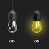 image:imageFeit Electric Color Changing Outdoor String Lights 24ft RGBW 12 Sockets