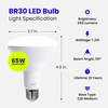 image:imageFeit Electric Enhance BR30 LED Light Bulb 65W Eq Soft White 6 Pack5000k Daylight