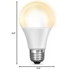image:imageFeit Electric OM60927CAAG3 60 Watt Equivalent WiFi Dimmable No Hub Required Alexa or Google Assistant A19 LED Smart Light Bulb 42 H x 24 D 2700K Soft White 3 Count2700k Soft White