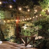 image:imageFeit Electric S14 LED Filament Light Bulbs High Output 2200K Warm White 70 Lumens String Light Replacement Bulbs 15000Hour Lifespan Clear Durable Housing S14822FILED4 4 PackWarm White