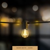 image:imageFeit Electric S14 LED Filament Light Bulbs High Output 2200K Warm White 70 Lumens String Light Replacement Bulbs 15000Hour Lifespan Clear Durable Housing S14822FILED4 4 PackWarm White