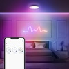 image:imageFeit Electric Smart Ceiling Light Fixture LED 30W 1600 Lumens RGBW