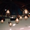 image:imageFeit Electric Vintage Exposed Straight Filament Amber Clear Glass LED ST19 60W Equivalent 400 Lumen Dimmable 2100K Warm White E26 Base 15000Hour Lifetime ST19VGLED24 8 PackSoft White