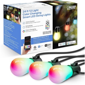 image:imageFeit Electric Outdoor String Lights 24ft Works with Alexa WiFi 24GHz